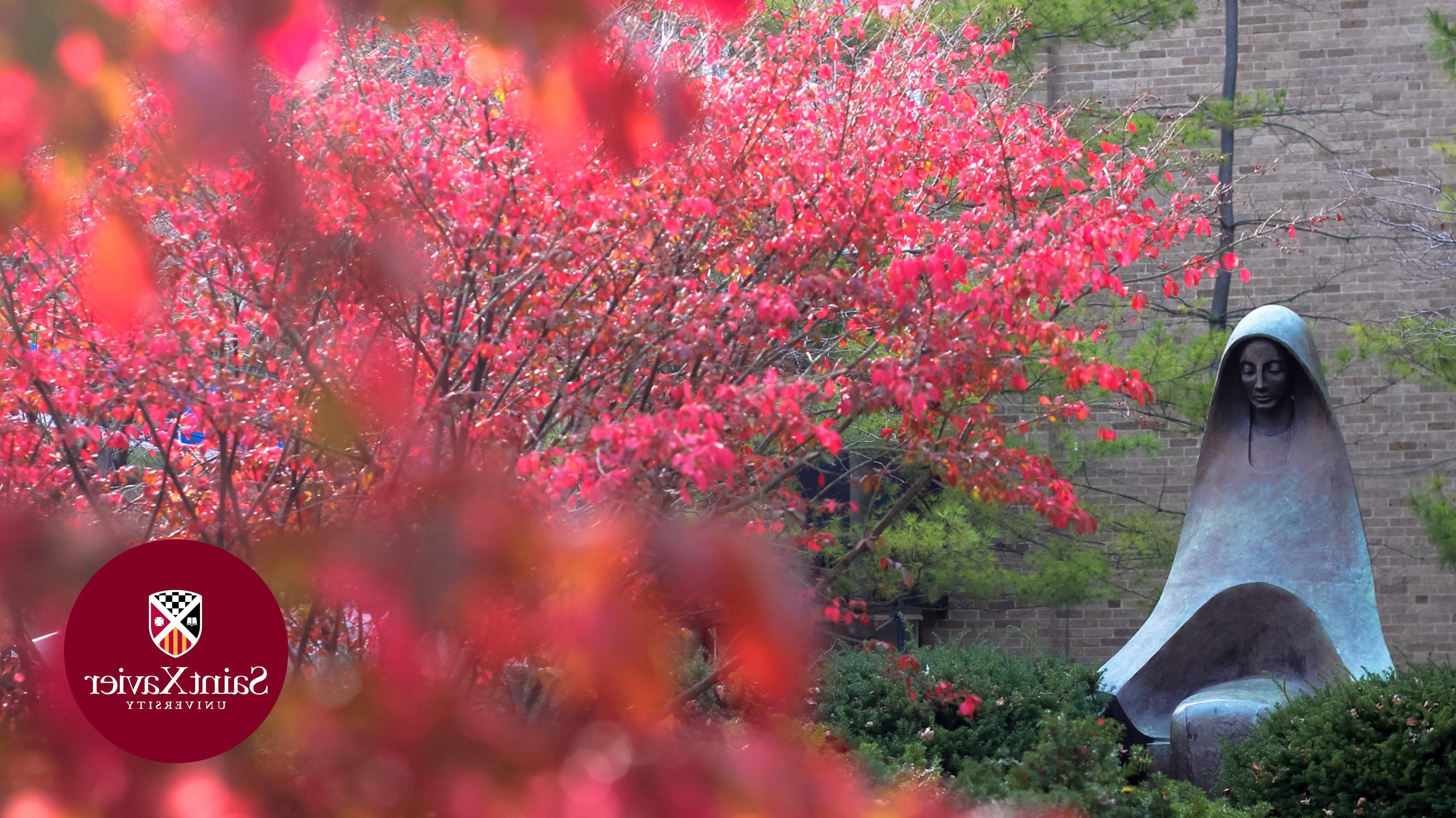 Mary's Circle Fall Zoom Background